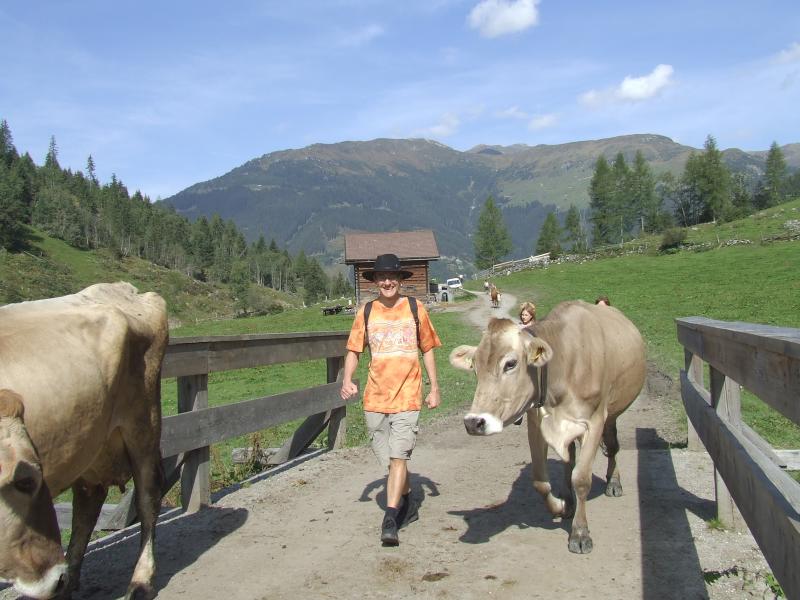 Milka Die Kuh Ist Weg Hinweise Nun Komplett Vickyliebtdich