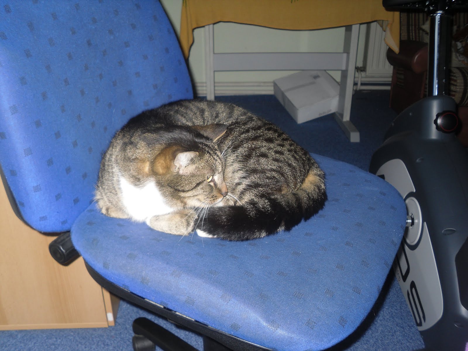 Selbstversorgung Fur Geniesser Die Besten Mittel Gegen Wuhlmause