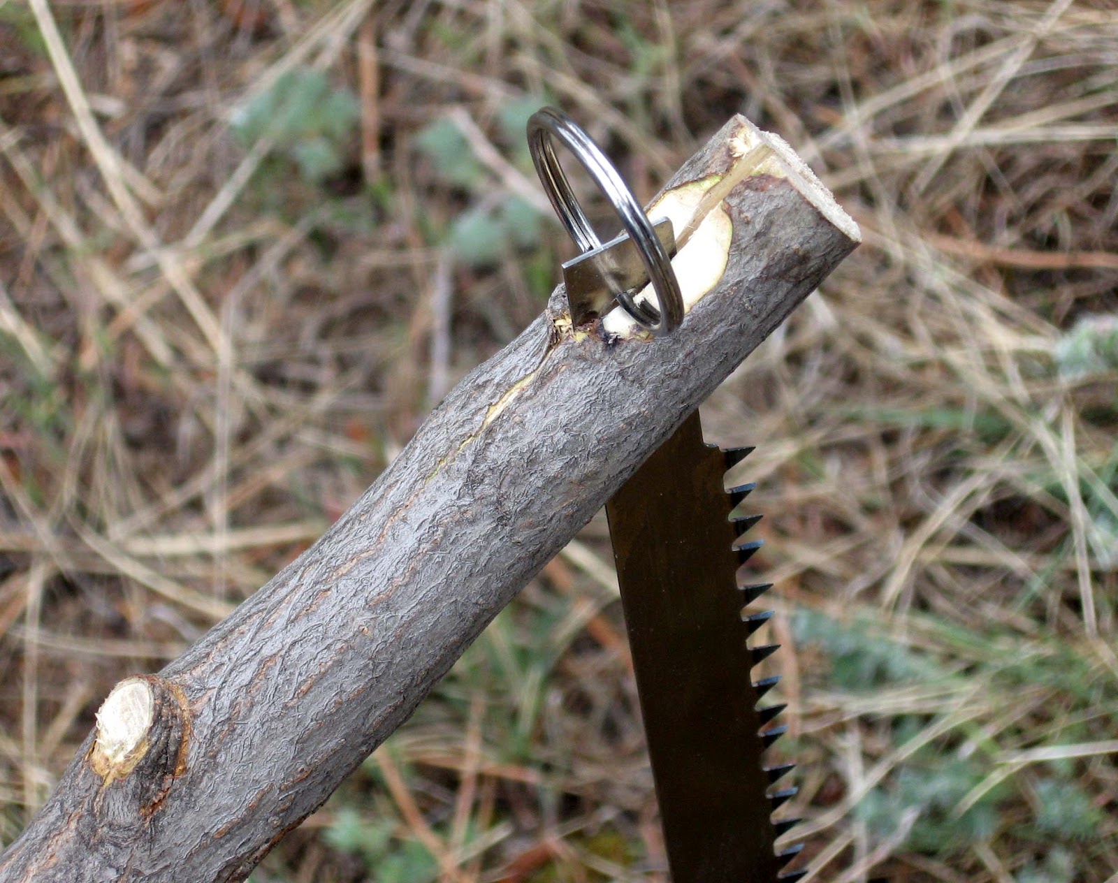 Rocky Mountain Bushcraft How to Build a Primitive Bow Saw in the