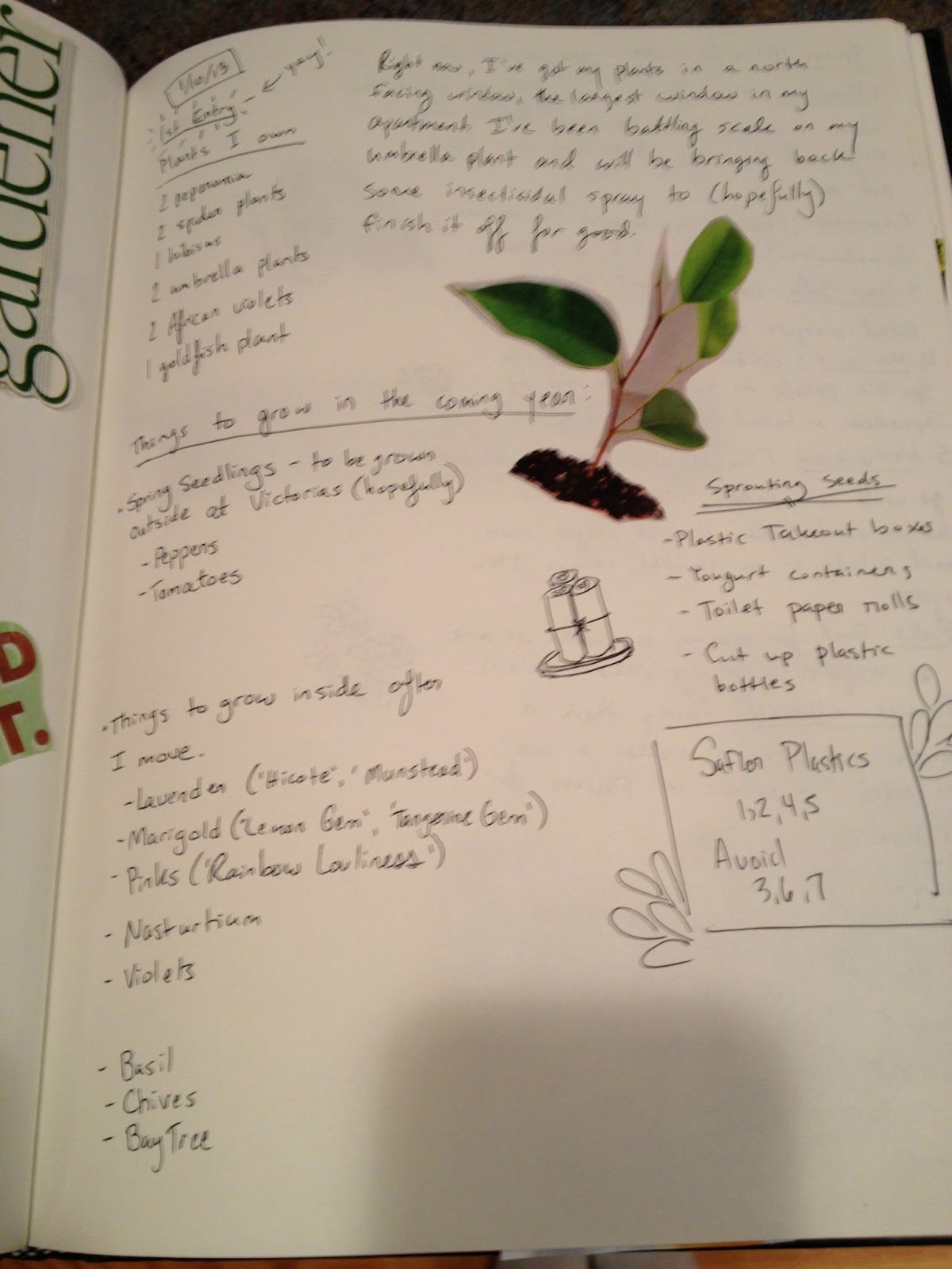 The College Gardener A Garden Journal