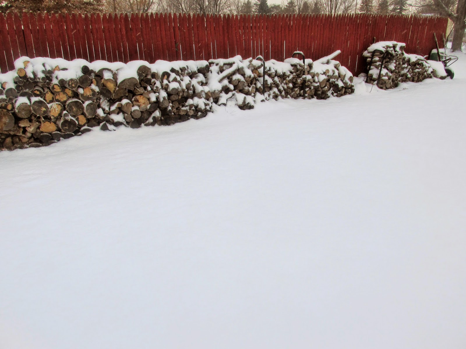 Vickie's Kitchen and Garden How to Cook Dehydrated Green Beans (Shuck