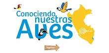 Aves del Perú