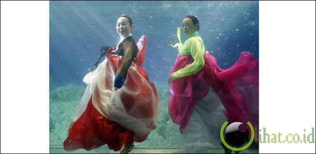 Bawah Laut Bawah Laut