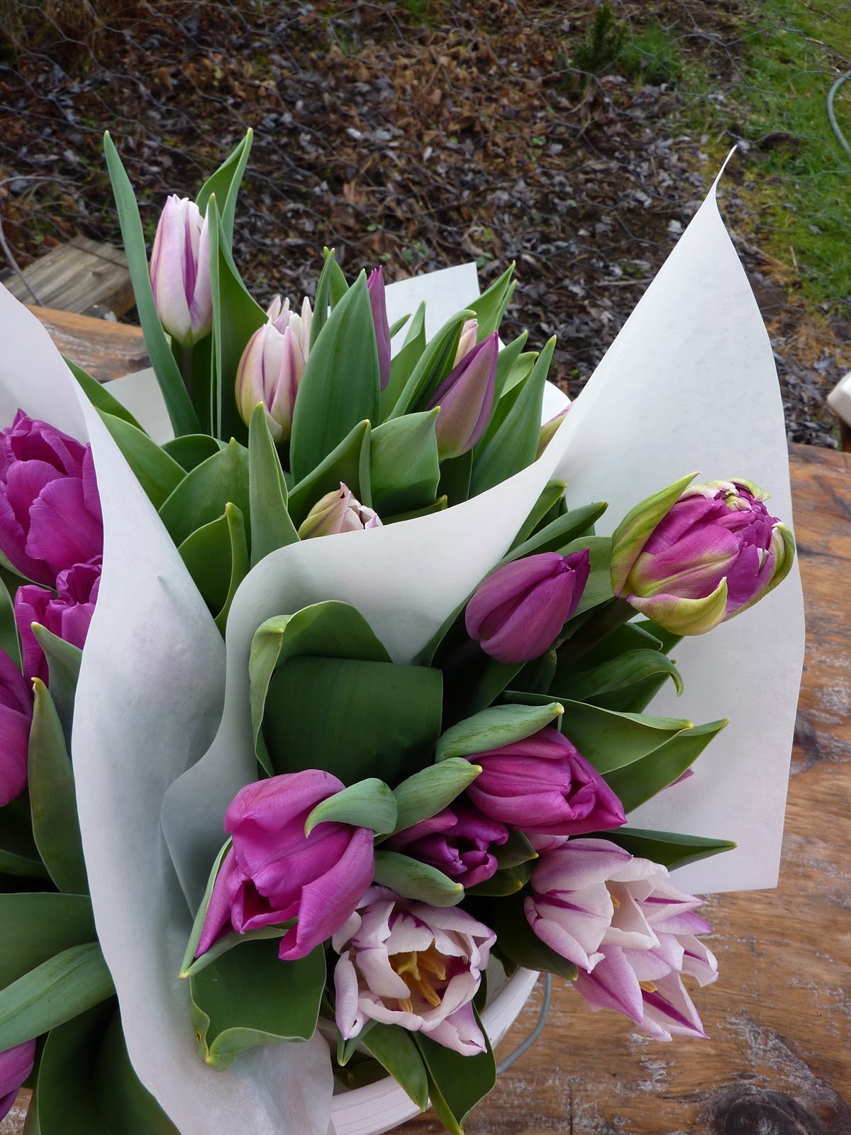 erikas fresh flowers march 2012 four letter flowers