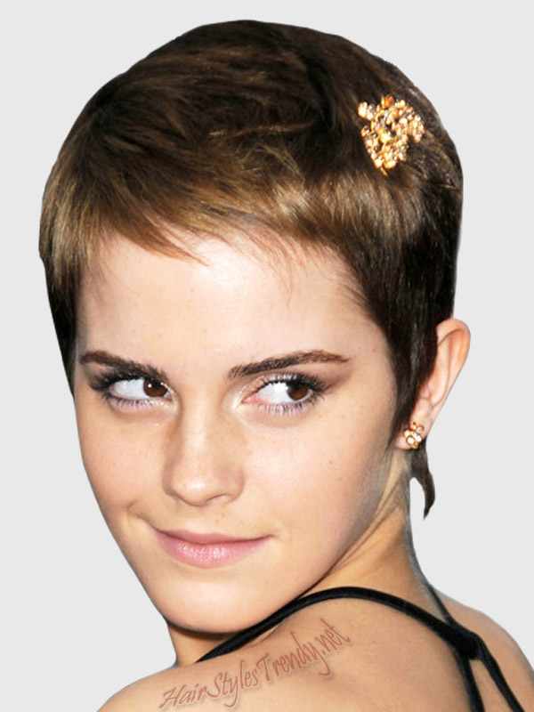 Short Hairstyles 2011 Spycum Com For