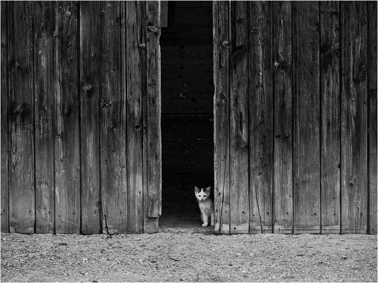 Compact Camera, Best Photo of the Day in Emphoka by Georg Hörmann, Nikon Coolpix P7700, https://flic.kr/p/oFh9at Compact Camera, Best Photo of the Day in Emphoka by Georg Hörmann, Nikon Coolpix P7700, https://flic.kr/p/oFh9at
