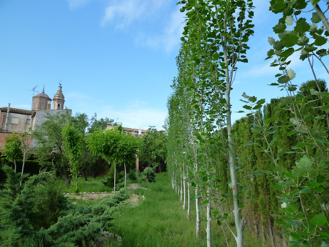 Jardin y descanso