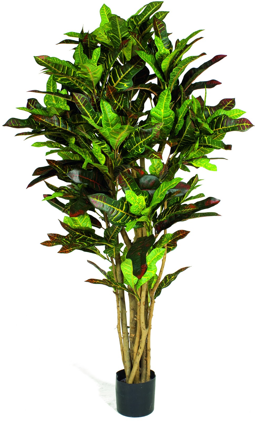 Finest quality artificial plants that look so realistic and natural