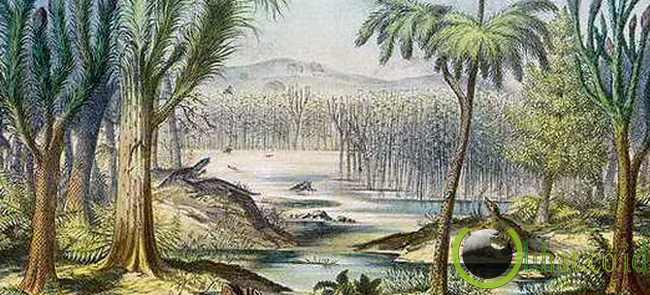 Hutan Hujan Carboniferous Lenyap Hutan Hujan Carboniferous Lenyap