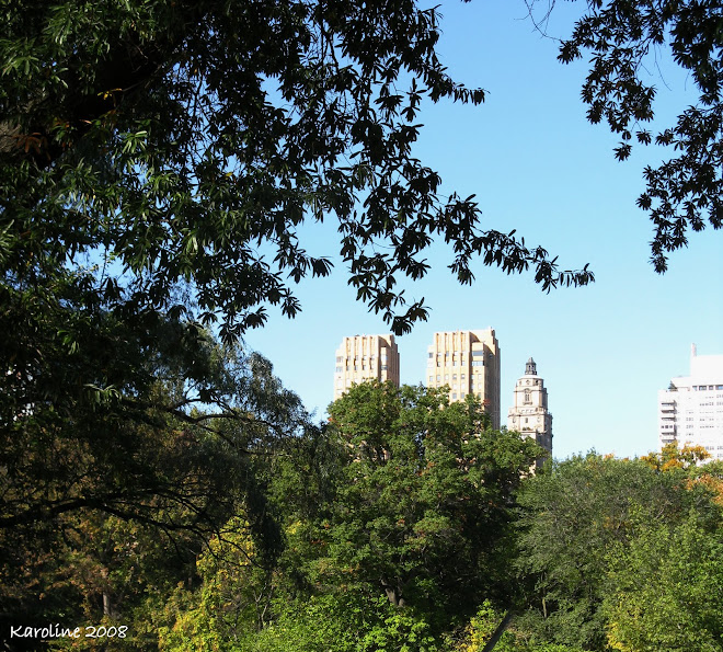New-York Central Park