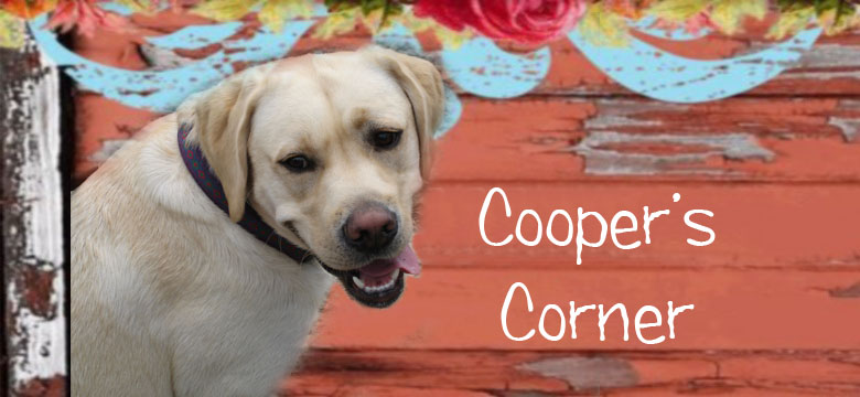 Cooper's Corner