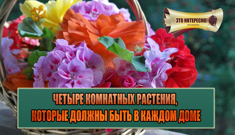 Истинные причины нашего раздражения — вы удивитесь картинки Истинные причины нашего раздражения — вы удивитесь картинки