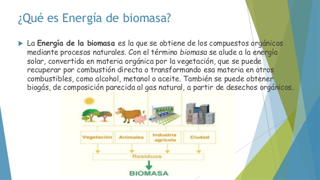 que es la energía biomasa?