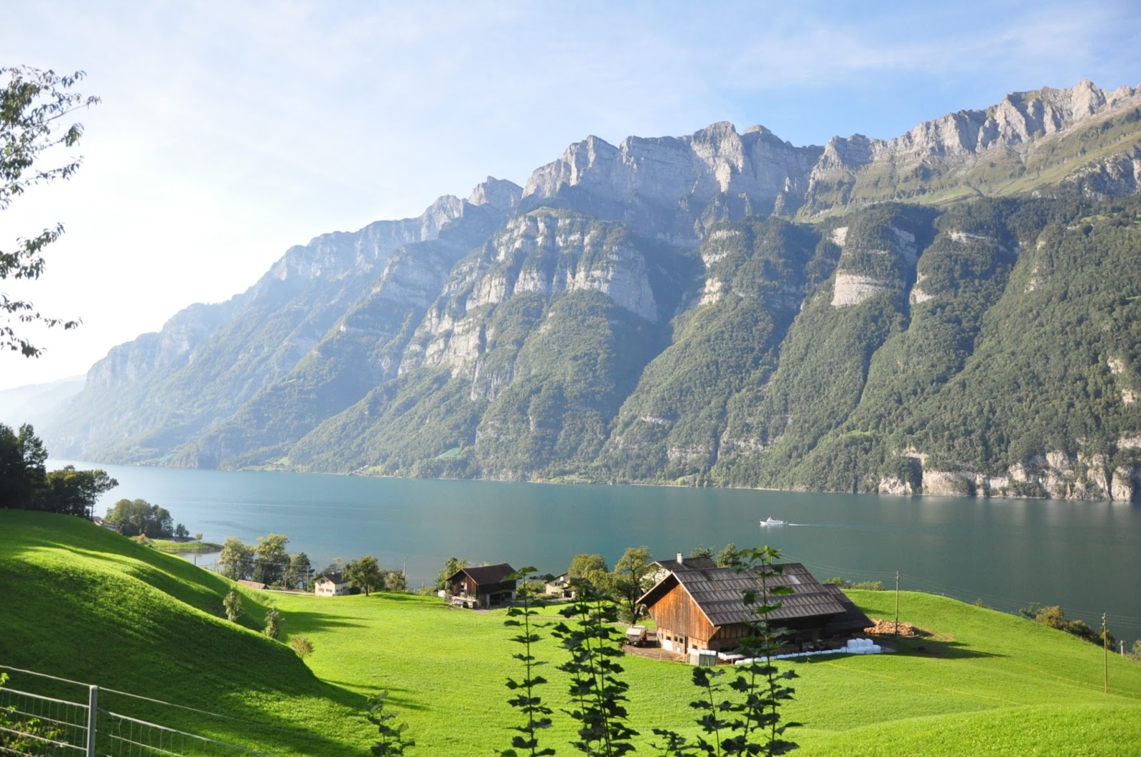 [Image: DSC_1333.JPG]