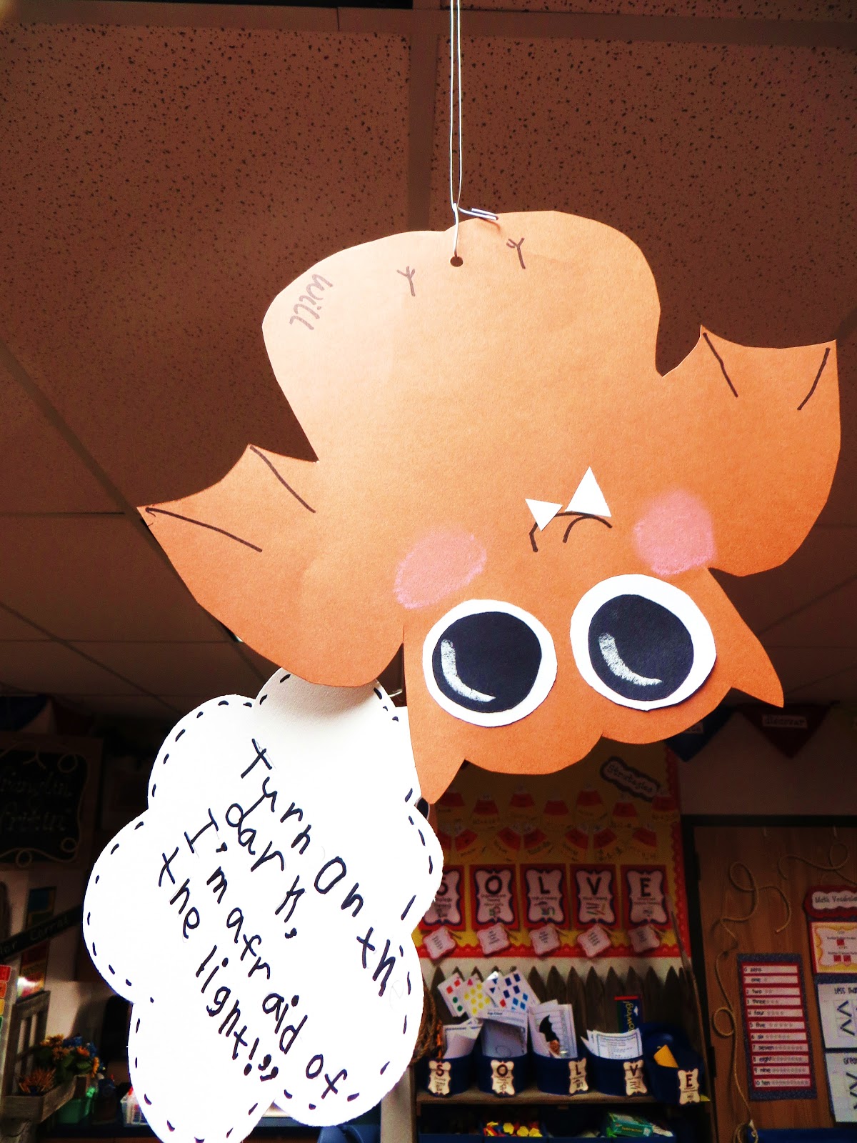 First Grade Wow: Stellaluna-Afraid of the light?