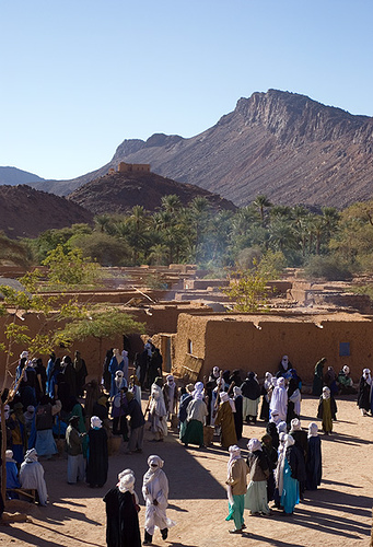 Oasis Timia