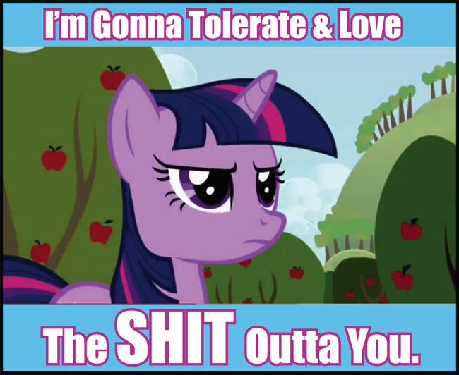 mlp+my+little+pony+meme+tolerate+****+bronies.png