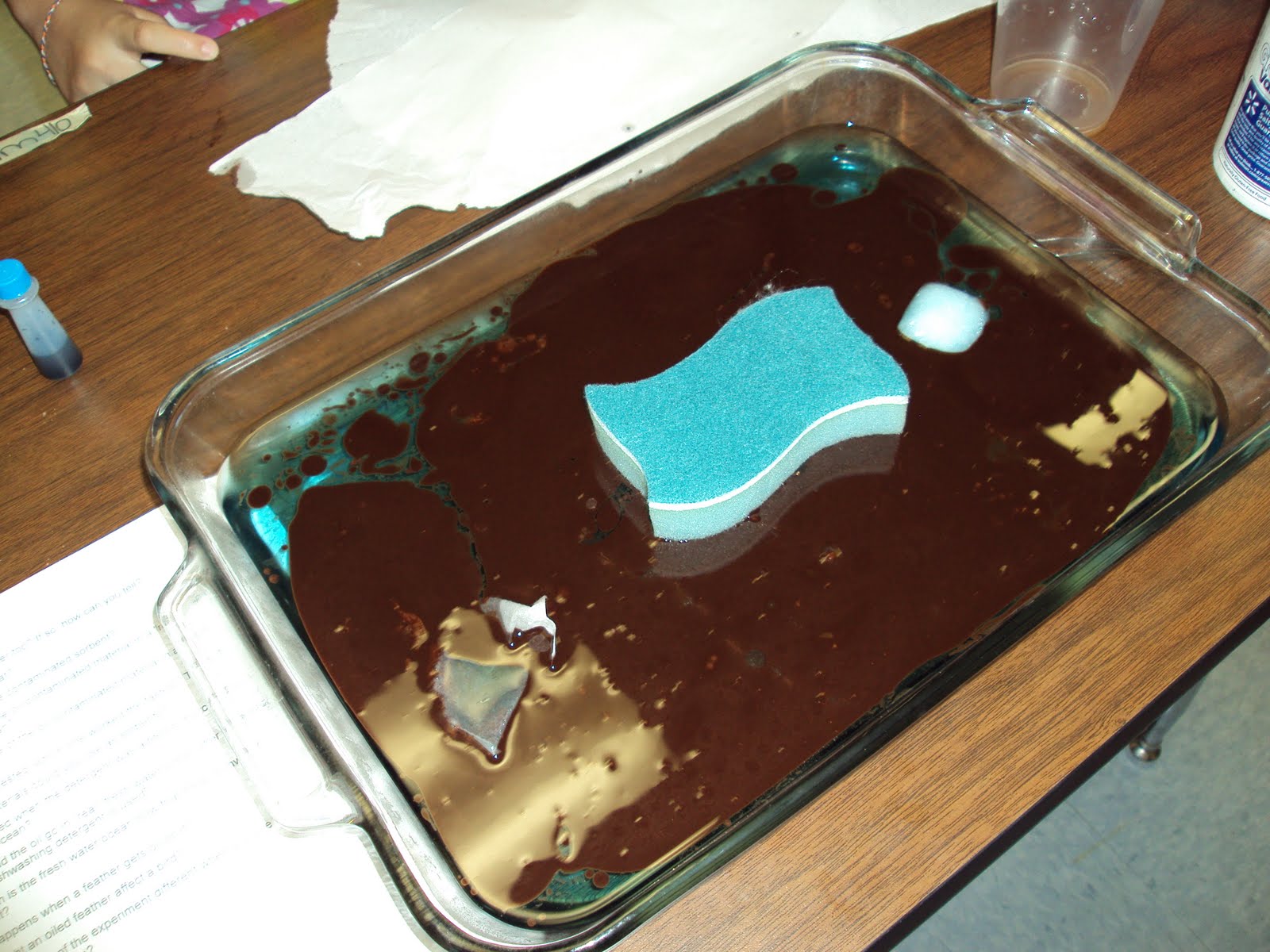 Cardigans and Curriculum Oil Spill Simulation