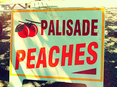 palisade: take two