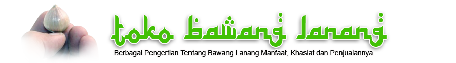 Toko Bawang Lanang Online
