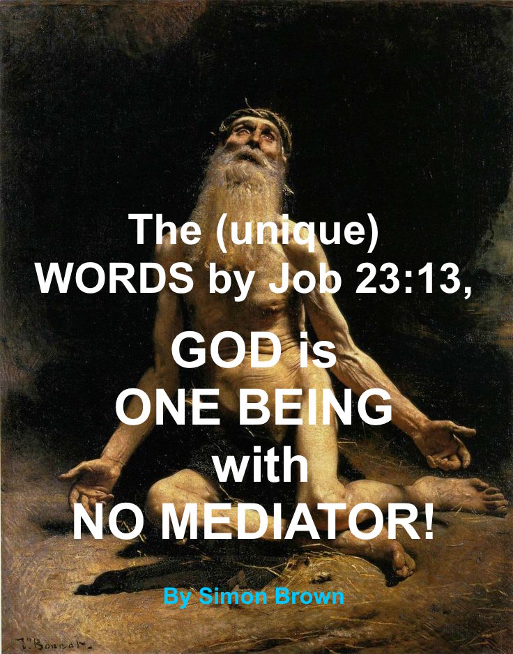 The (unique) WORDS by Job 23:13, GOD is ONE BEING with NO MEDIATOR!