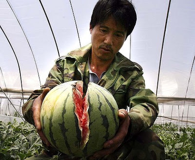 Exploding Melons