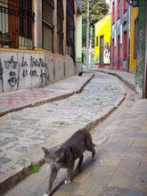 VALPARAÍSO, AGOSTO 2007