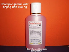 SCALP SOLUTION