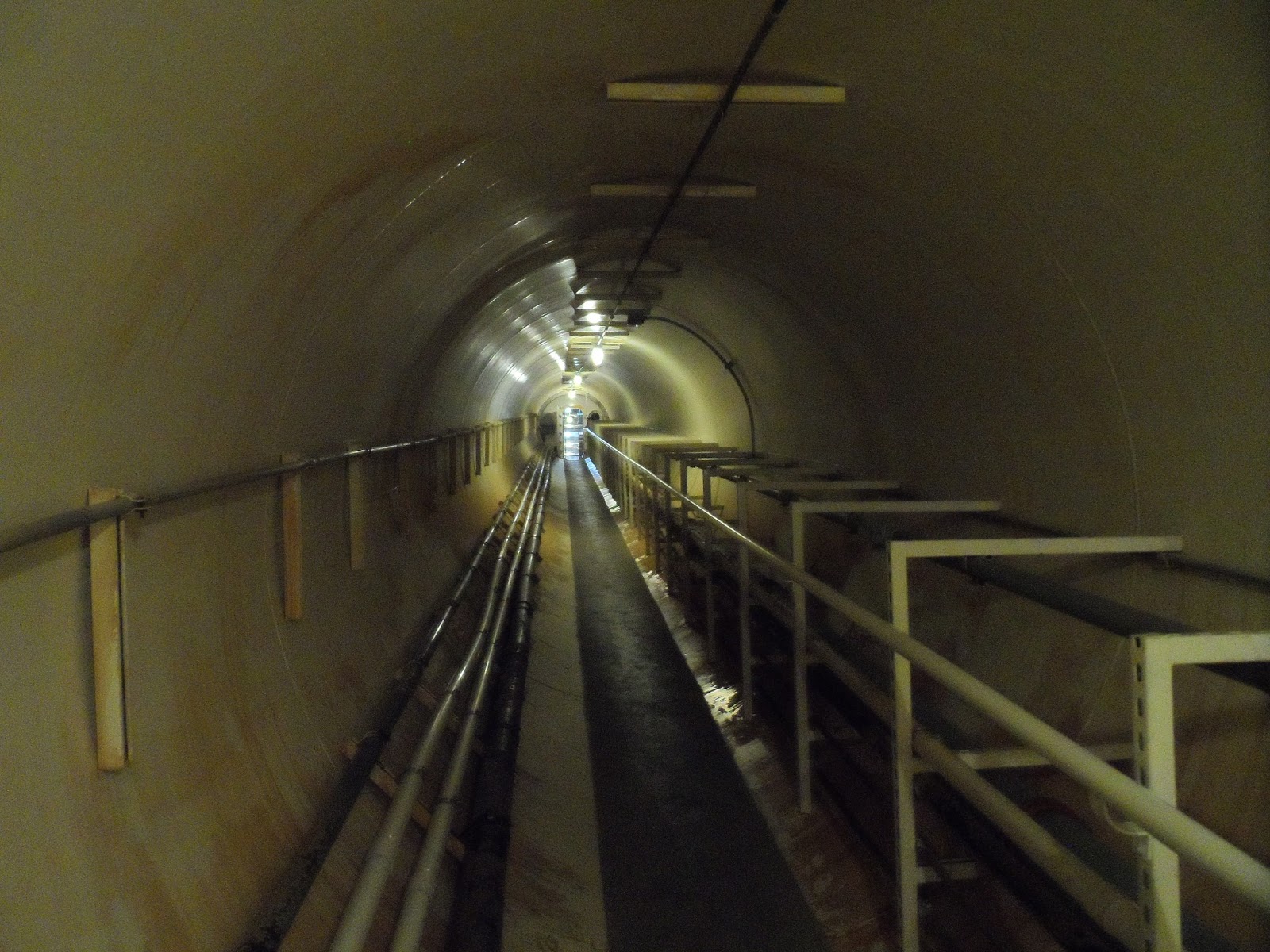 Edible Tropicals: Biosphere 2 Biology Diagrams