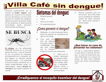 ¡RADIQUEMOS EL DENGUE!