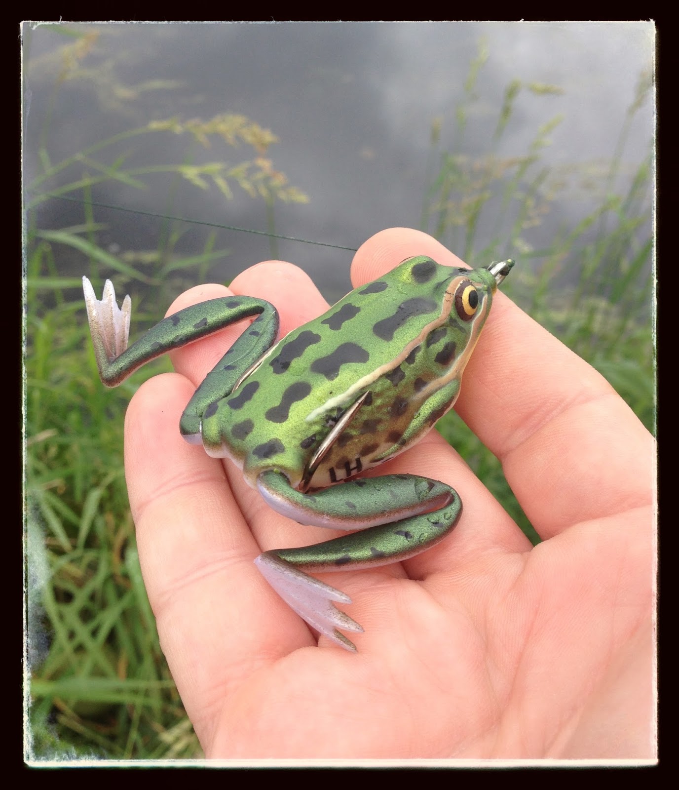 Bass Junkies Frog Pond: Lunker Hunt - Lunker Frog Review