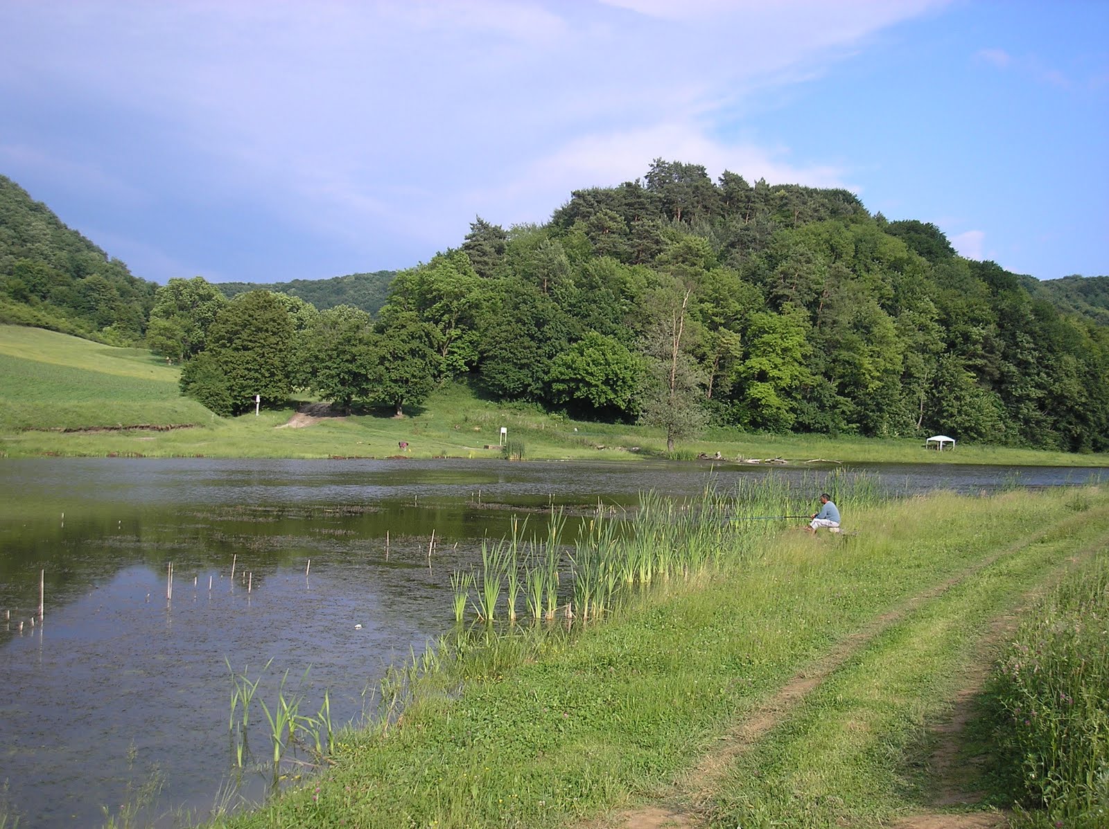 Www Topbalti Ro Lacuri De Pescuit Sibiu Dumbraveni