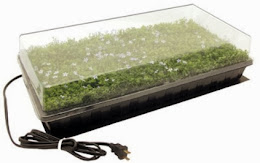 More Seed Propagation Kits on Sale Now!