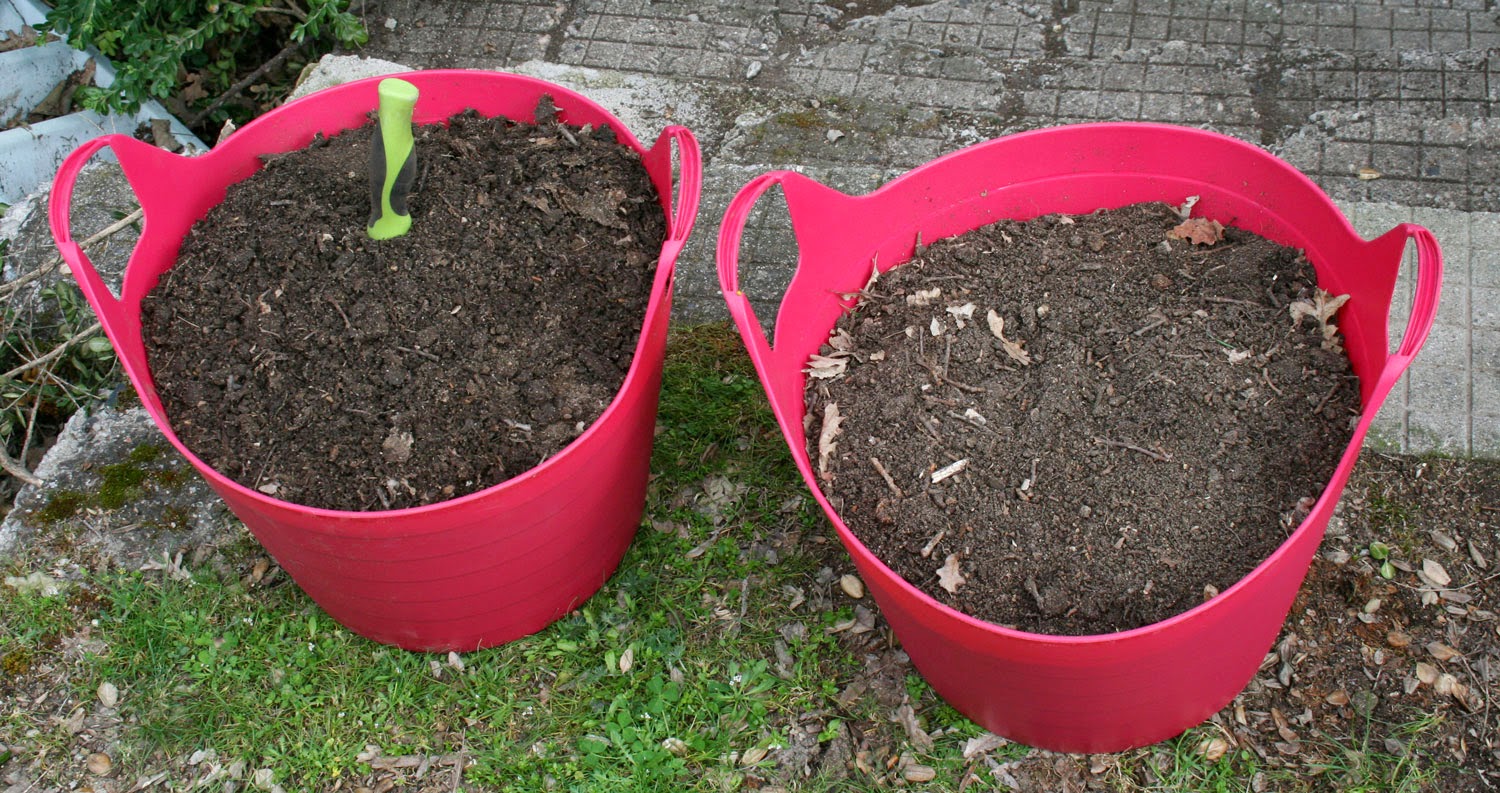 Good growing soil collected from the path Good growing soil collected from the path