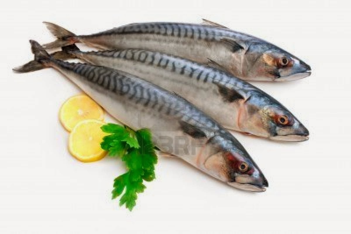 COMER PESCADO CON comer pescado con: