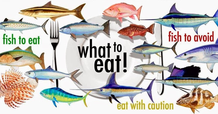 Seafood Restaurants: SEAfood Selection Tips