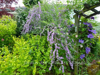 Le Jardin Des Grandes Vignes
