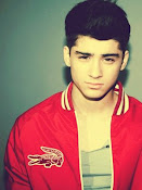 Zayn Javadd Malik  Army