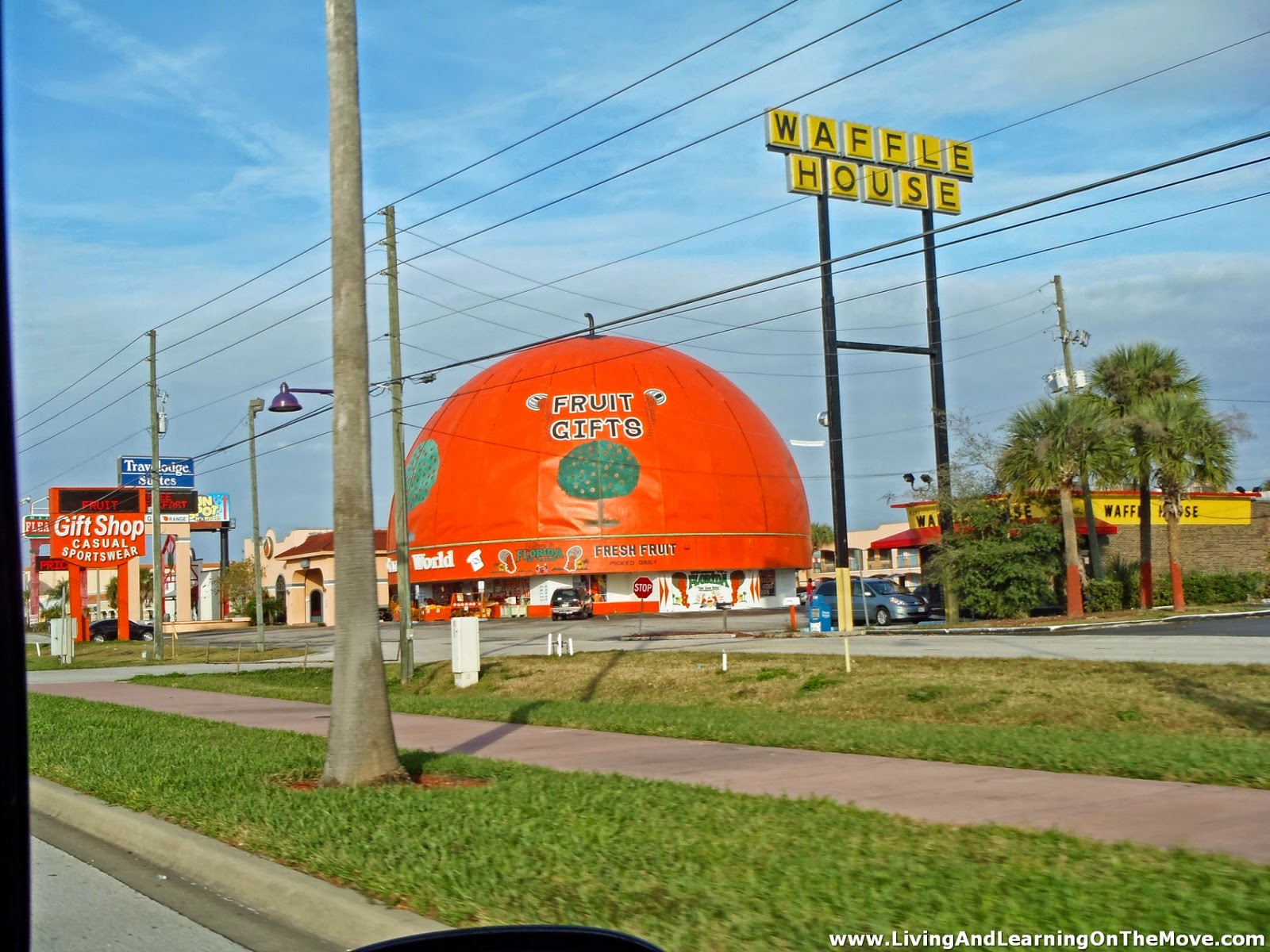 Living and Learning on the Move Various Kissimmee, FL Tourist Views