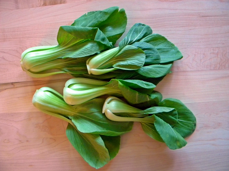 Bok Choy Bok Choy