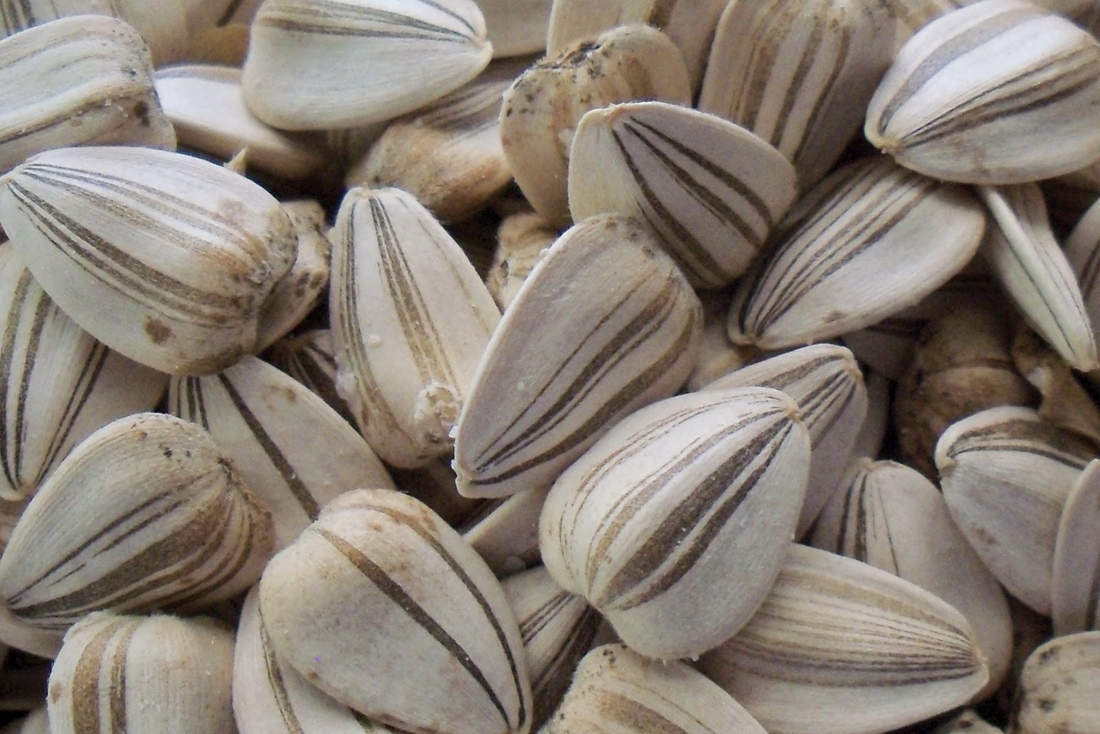 My little cottage in the making ROASTING YOUR OWN SALTED SUNFLOWER SEEDS