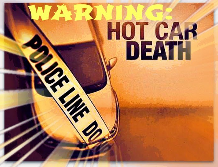 ,WARNING:  DON'T LEAVE BABIES OR ANIMALS IN A HOT CAR!!   030615 