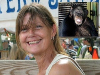 woman attacked by chimpanzee face