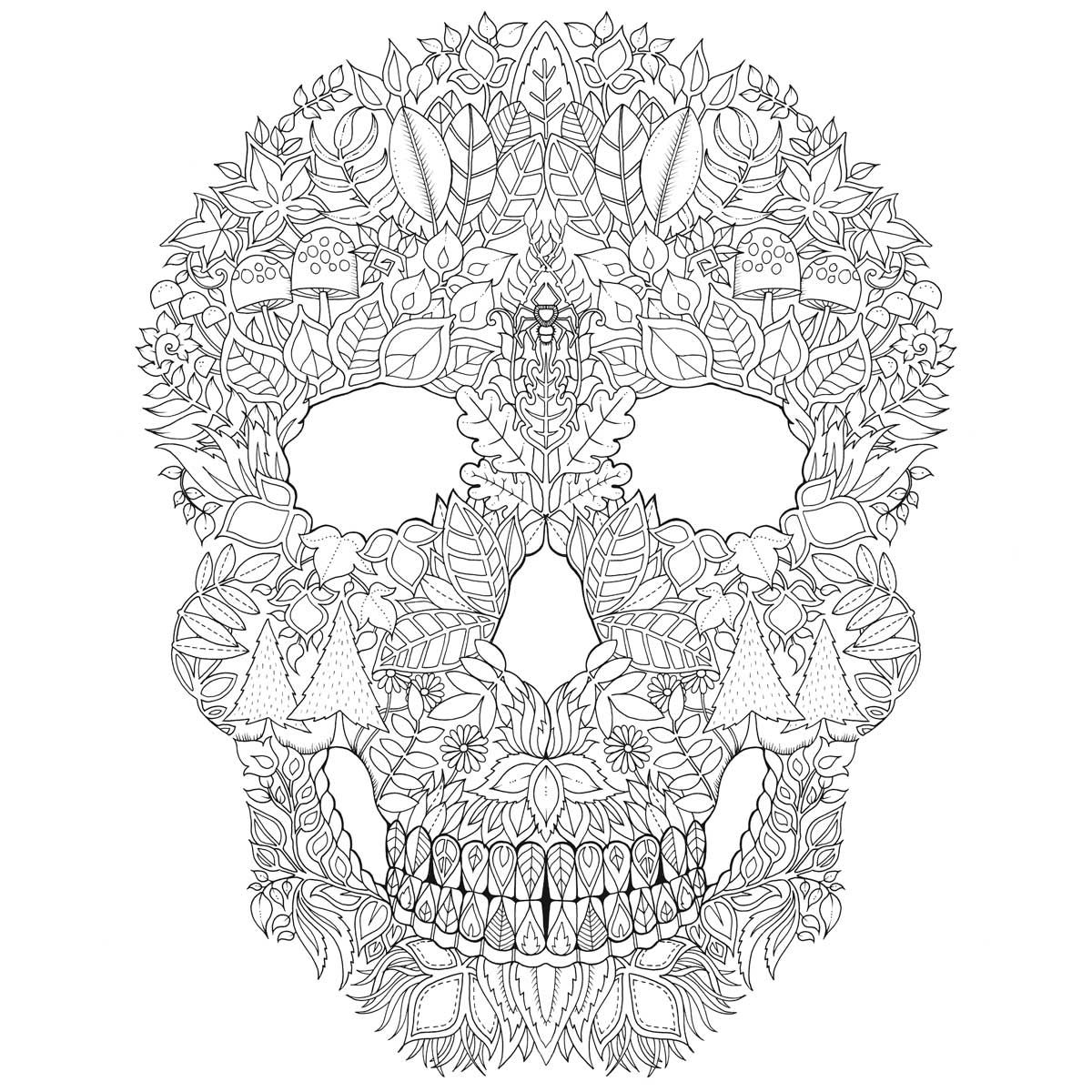 Coloring Pages Snow Forest Coloring Pages Snow Forest