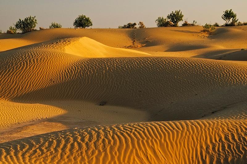 Sand Dunes - Jaisalmer