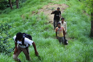 Bear tracking Bear tracking