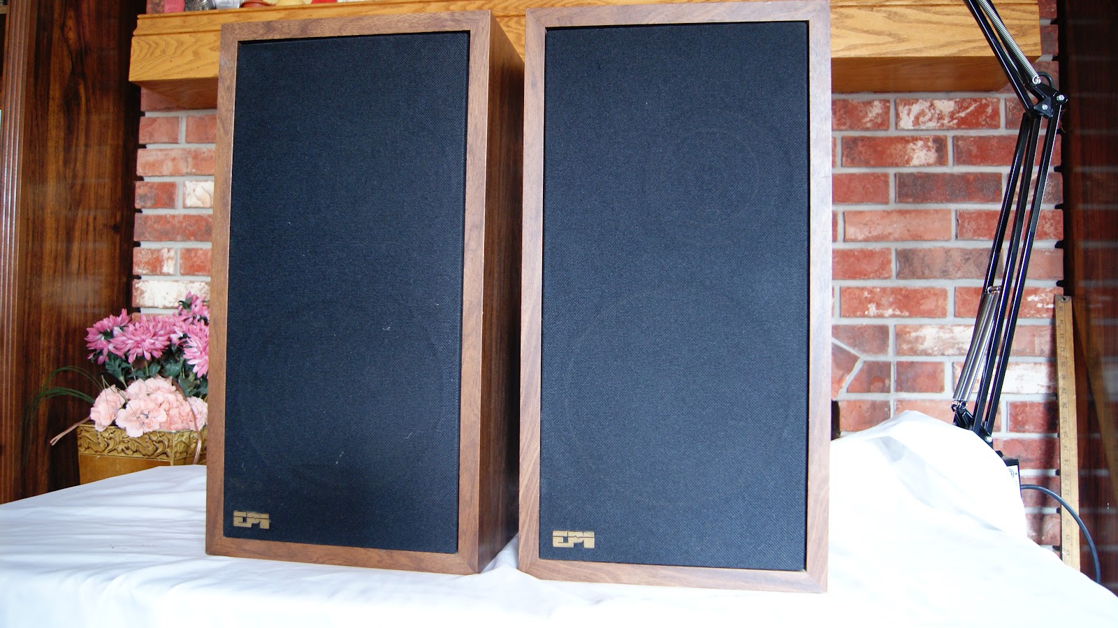 Audioless Winnipeg Group! EPI 100 Speakers!