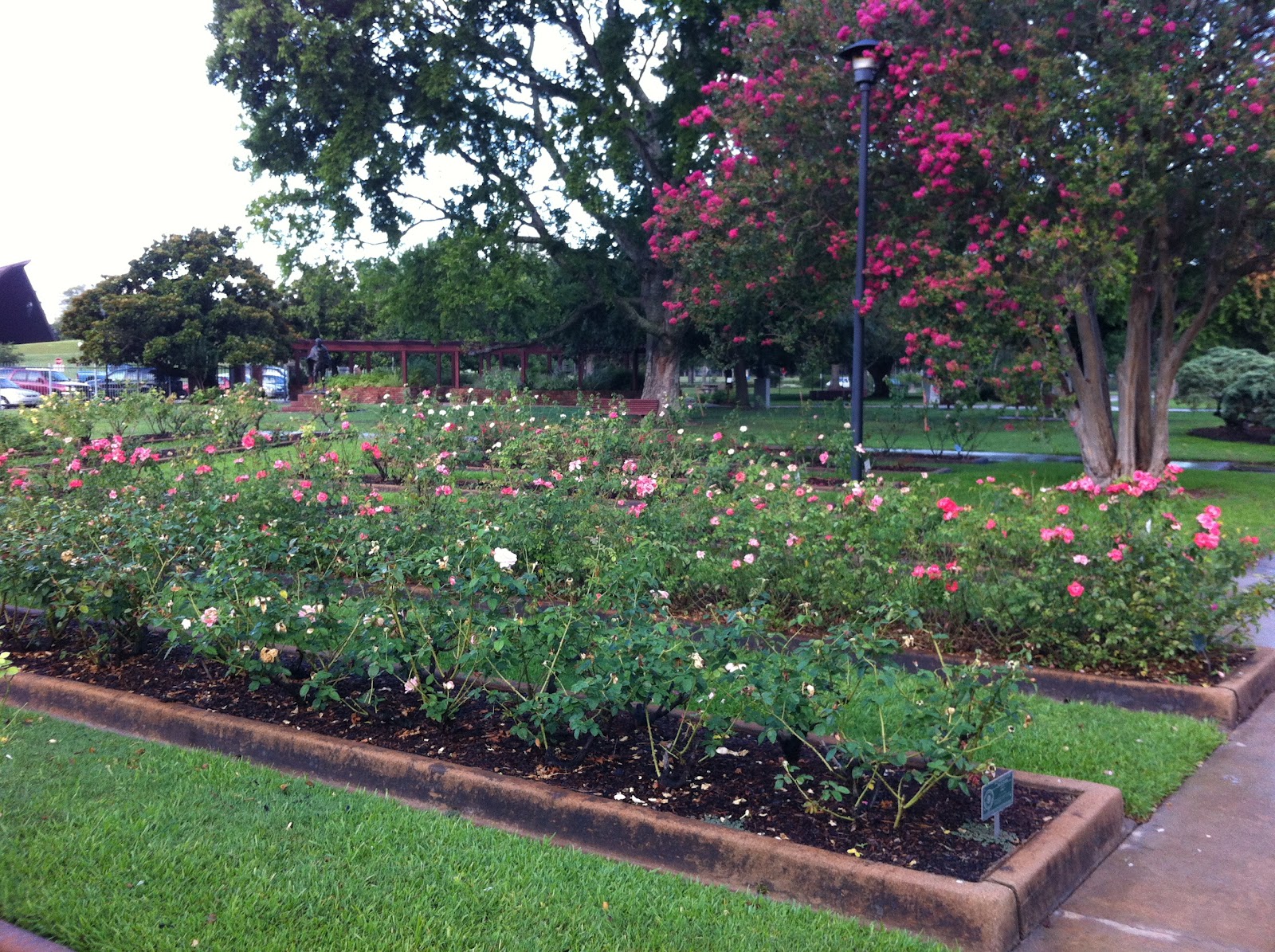 Houston Walks Houston Garden Center and Marvin Taylor Exercise Trail, Section 1