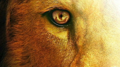 Abstract Lion Wallpaper 2