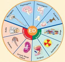 Erectile Dysfunction Causes of Erectile Dysfunction
